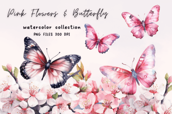 Download Pink Flower Butterfly Watercolor - Pink flower Collection