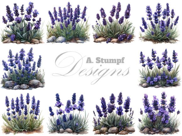 Download Lavender Flowers Clipart Set Floral Art - Premium Resources