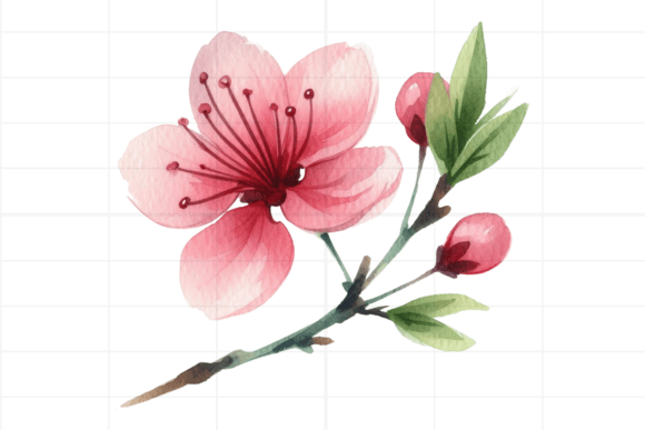 Download Watercolor Drawing Pink Flower - Pink flower Collection