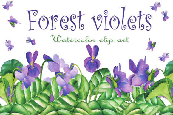 Download Violet Wild Flowers Watercolor Clipart - Flowers watercolor Collection